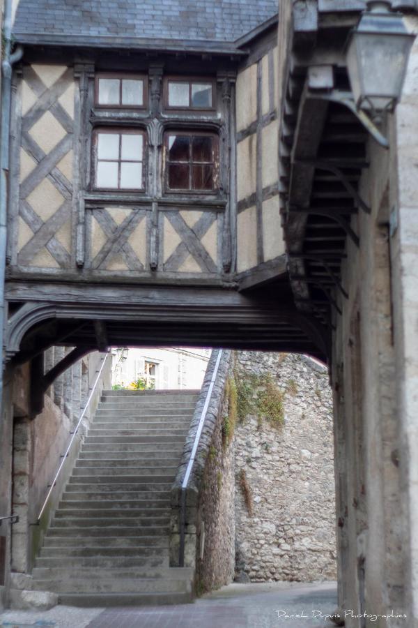 Le Relais Du Petit Lion Lejlighed Blois Eksteriør billede